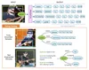 SCoRD: Subject-Conditional Relation Detection with Text-Augmented Data