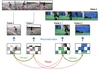 ViC-MAE: Self-Supervised Representation Learning from Images and Video with Contrastive Masked Autoencoders