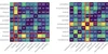 Double-Hard Debias: Tailoring Word Embeddings for Gender Bias Mitigation