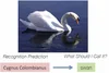 Learning to Name Objects