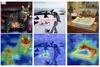 Black-box Explanation of Object Detectors via Saliency Maps