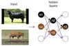Testing DNN Image Classifiers for Confusion &amp; Bias Errors