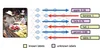 Feedback-prop: Convolutional Neural Network Inference under Partial Evidence